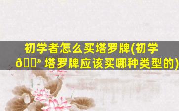 初学者怎么买塔罗牌(初学 💮 塔罗牌应该买哪种类型的)